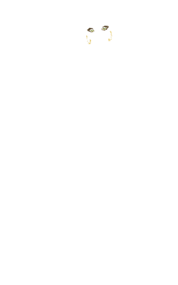 vg
