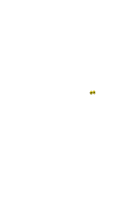 Nesriine