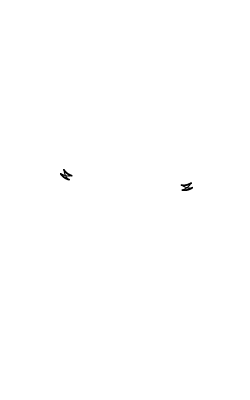 zoé43