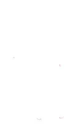 Bonbondu31