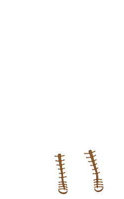 Bakel