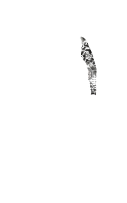 Dark Fire