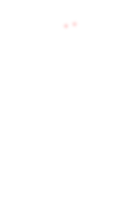 Bonbondu31