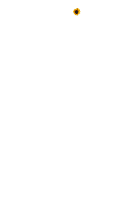 Rubischanel