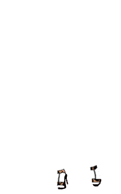 teillore