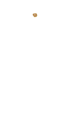 hugosting