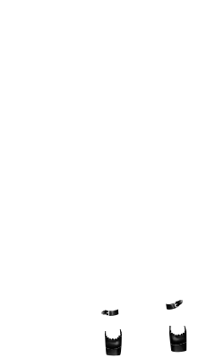 delicedujour