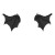 Ailes diablesse