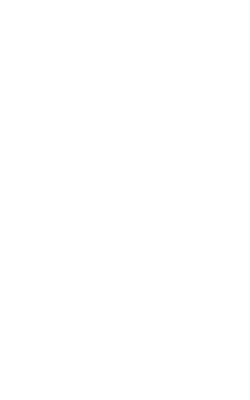 Narfje