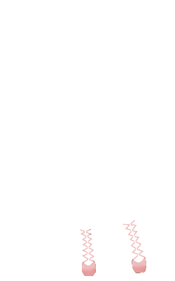 munazi