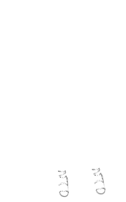 boutroi