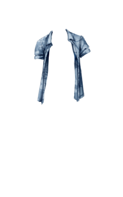 wiz jojlan 29