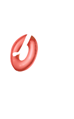 Rubischanel