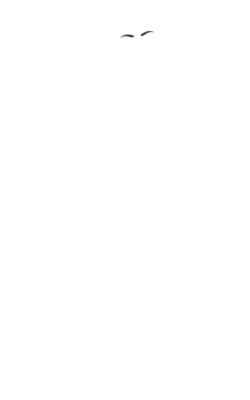 Hasylah