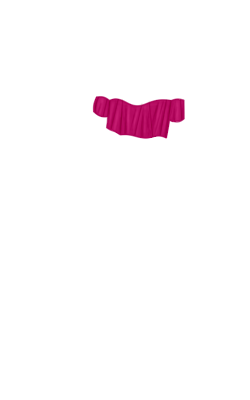 videlvita