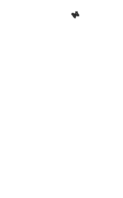 teillore