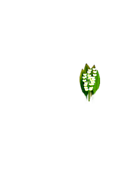 picsou17