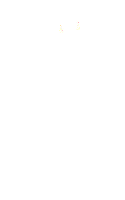 souhayne