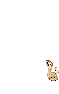 Maya974