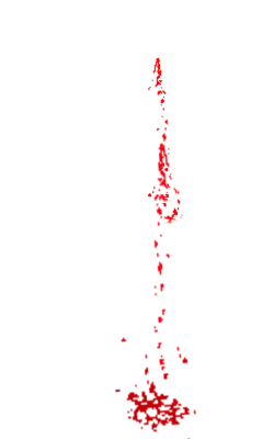 souhayne
