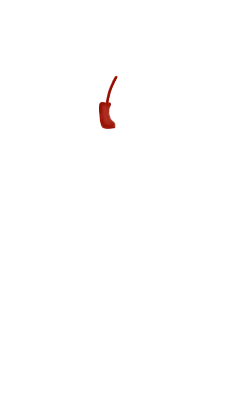 teresa24