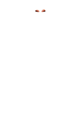 Izrah
