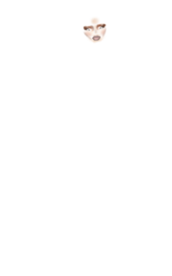 maariaa