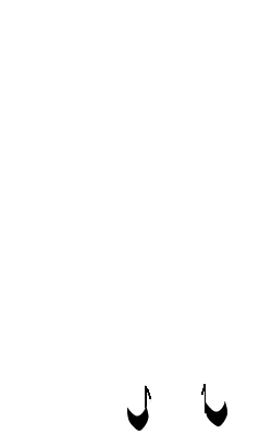 sasadenteyl974