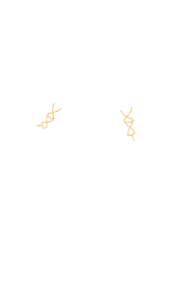 soso453