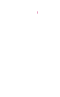 manondubuissez